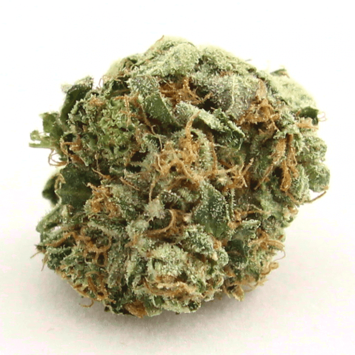 Ak-47