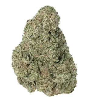 Alien OG