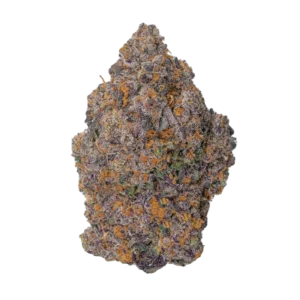 Colle Gorilla #4 (GG4)