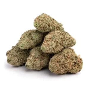 Cookies Scout Platinum Girl