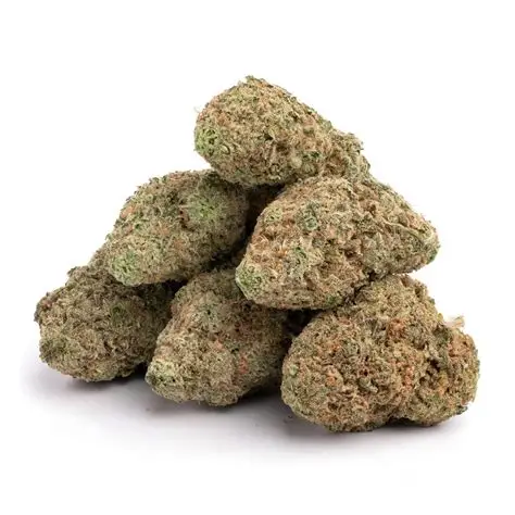 Cookies Scout Platinum Girl