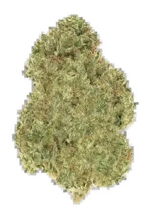 Fantôme Train Haze