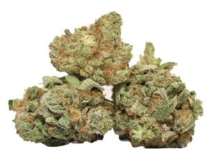 Feu blanc OG (WiFi OG)