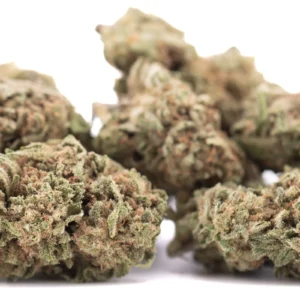 Jack Herer