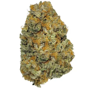 Mimosa