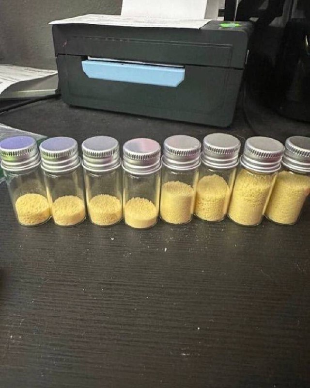 NN-DMT
