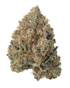 Tahoe OG Kush
