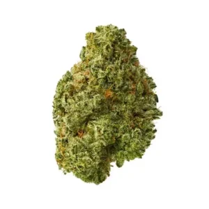 Violet Kush